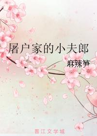 小说：屠户家的小夫郎，作者：麻辣笋
