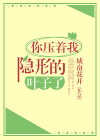 小说：你压着我隐形的叶子了，作者：城南花开