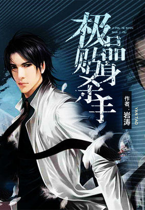小说：极品贴身杀手，作者：岩涛