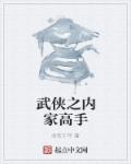 小说：武侠之内家高手，作者：命若干年