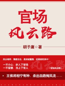 小说：官场风云路，作者：胡子庸