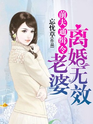 小说：前夫通缉令：老婆，离婚无效，作者：忘忧草