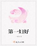 小说：第一妇好，作者：一香情