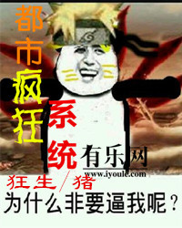 小说：都市疯狂系统，作者：狂生