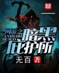 小说：网游之暗黑庇护所，作者：无百