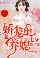 小说：月下君归，作者：火轻轻