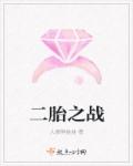 小说：二胎之战，作者：人参胖娃娃