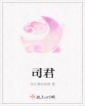 小说：司君，作者：回忆落地成殇