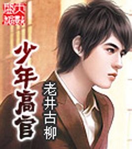 小说：少年高官，作者：老井古柳