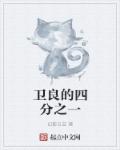 小说：卫良的四分之一，作者：幻影日益