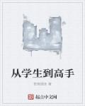 小说：从学生到高手，作者：愤怒鲤鱼