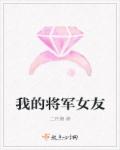 小说：我的将军女友，作者：二月懒