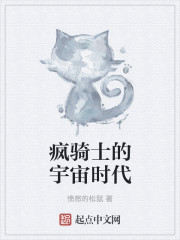 小说：疯骑士的宇宙时代，作者：愤怒的松鼠