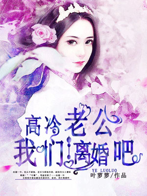 小说：高冷老公，我们离婚吧，作者：叶萝萝