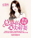 小说：蜜爱宠婚：总裁的心尖萌妻，作者：浅茶浅绿