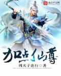 小说：加点仙尊，作者：周天子出行
