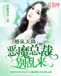 小说：总裁大人请接招，作者：澄澈冉杏