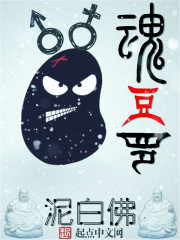 小说：魂豆罗，作者：泥白佛