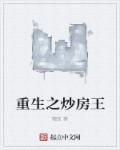 小说：重生之炒房王，作者：貔蚯