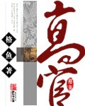 小说：高官，作者：格鱼