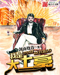小说：我是大土豪，作者：剑南烧春