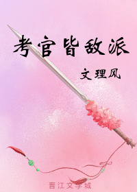 小说：考官皆敌派，作者：文理风