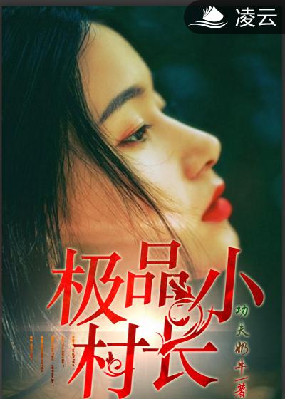 小说：极品小村长，作者：功夫奶牛