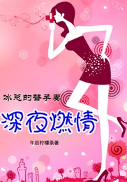 燃情宝宝:冰总裁为妻狂