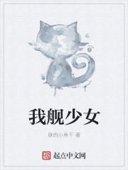 小说：我舰少女，作者：朕的小鱼干