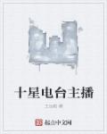 小说：十星电台主播，作者：王远航