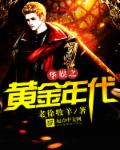 小说：华娱之黄金年代，作者：老徐牧羊