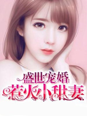 小说：盛世宠婚：惹火小甜妻，作者：豆腐大人