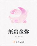 小说：纸贵金弥，作者：浮世落华
