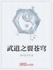 小说：武道之裂苍穹，作者：请叫我冯导
