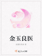 小说：金玉良医，作者：寂寞的清泉