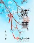 小说：妖彗，作者：逆月寒
