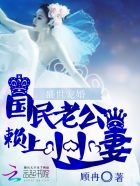 小说：盛世宠婚：国民老公赖上小小妻，作者：顾冉