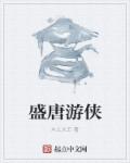 小说：盛唐游侠，作者：木土大王