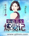 小说：霸道丑女炼爱记，作者：新月射手