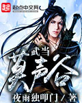 小说：武当莫声谷，作者：夜雨独叩门