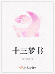 小说：十三梦书，作者：风于青萍