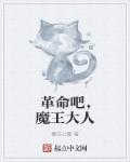 小说：革命吧，魔王大人，作者：樱花七瓣