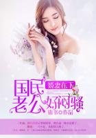 小说：娇妻在下：国民老公好闷骚，作者：锦书