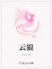 小说：云狼，作者：天天方