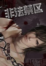 小说：非法禁区（耽美），作者：夜迷情