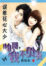 小说：误惹花心大少：帅哥，我不负责，作者：秋如水