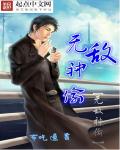 小说：无敌神偷，作者：布吃道