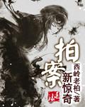 小说：拍案新惊奇，作者：西岭老柏