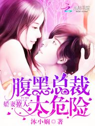 小说：娇妻撩人：腹黑总裁太危险，作者：沐小娴