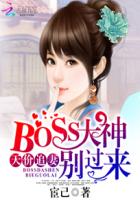 小说：天价追妻：BOSS大神别过来，作者：宦己
